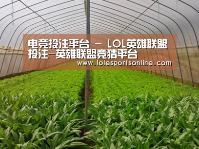 种植基地四