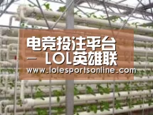 环境展示六