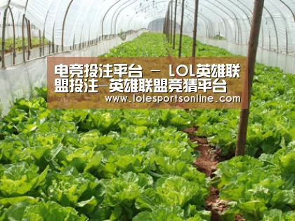 种植基地五