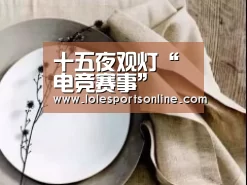 十五夜观灯“电竞赛事”(图1) 电竞赛事