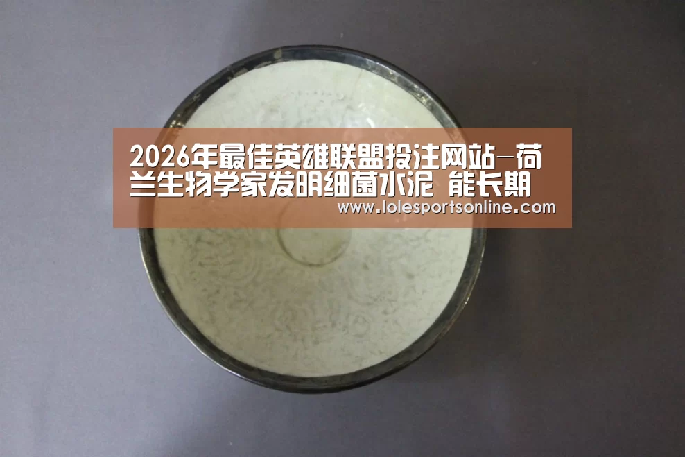 LoL投注网站官网